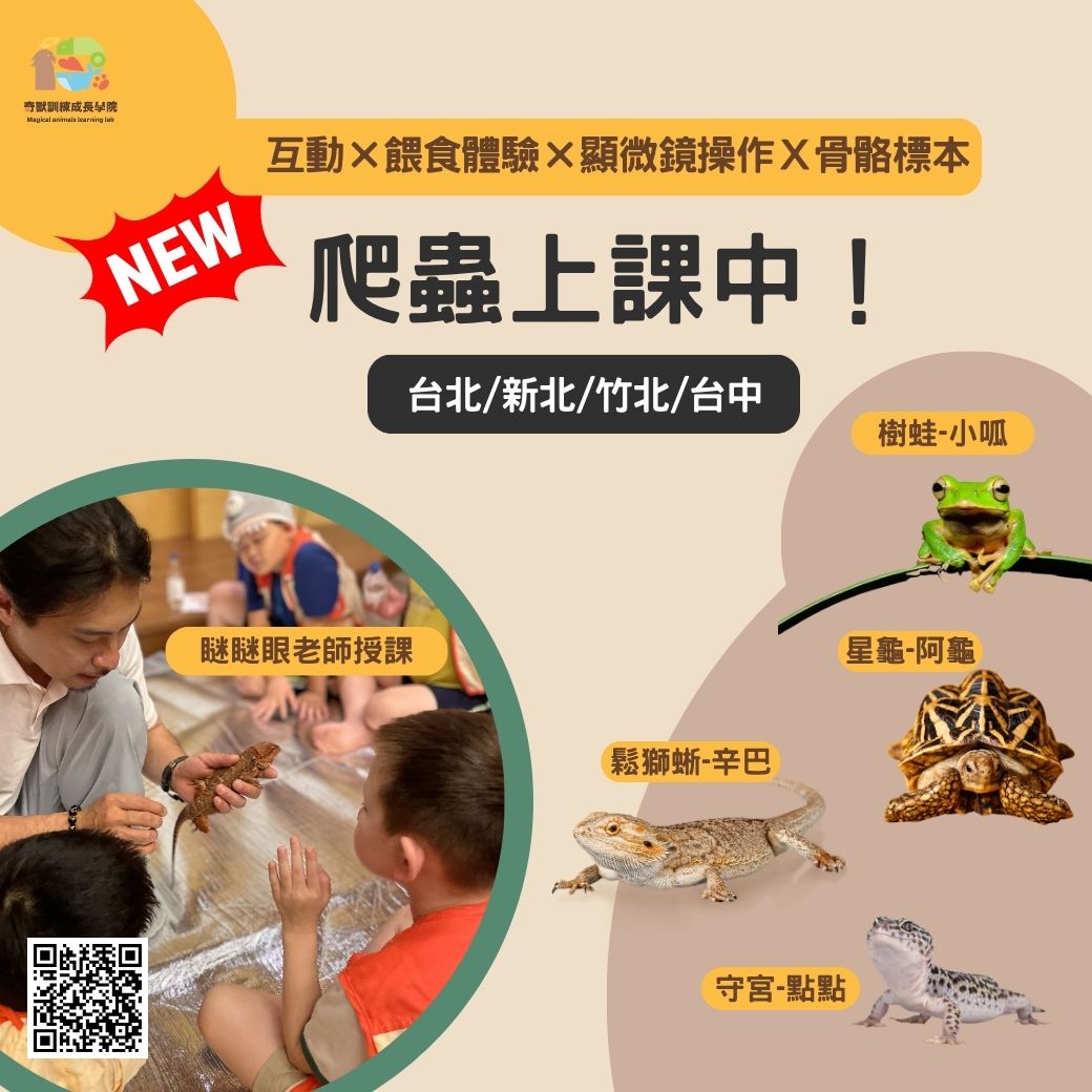 爬蟲動物觀察課-爬蟲動物上課中!