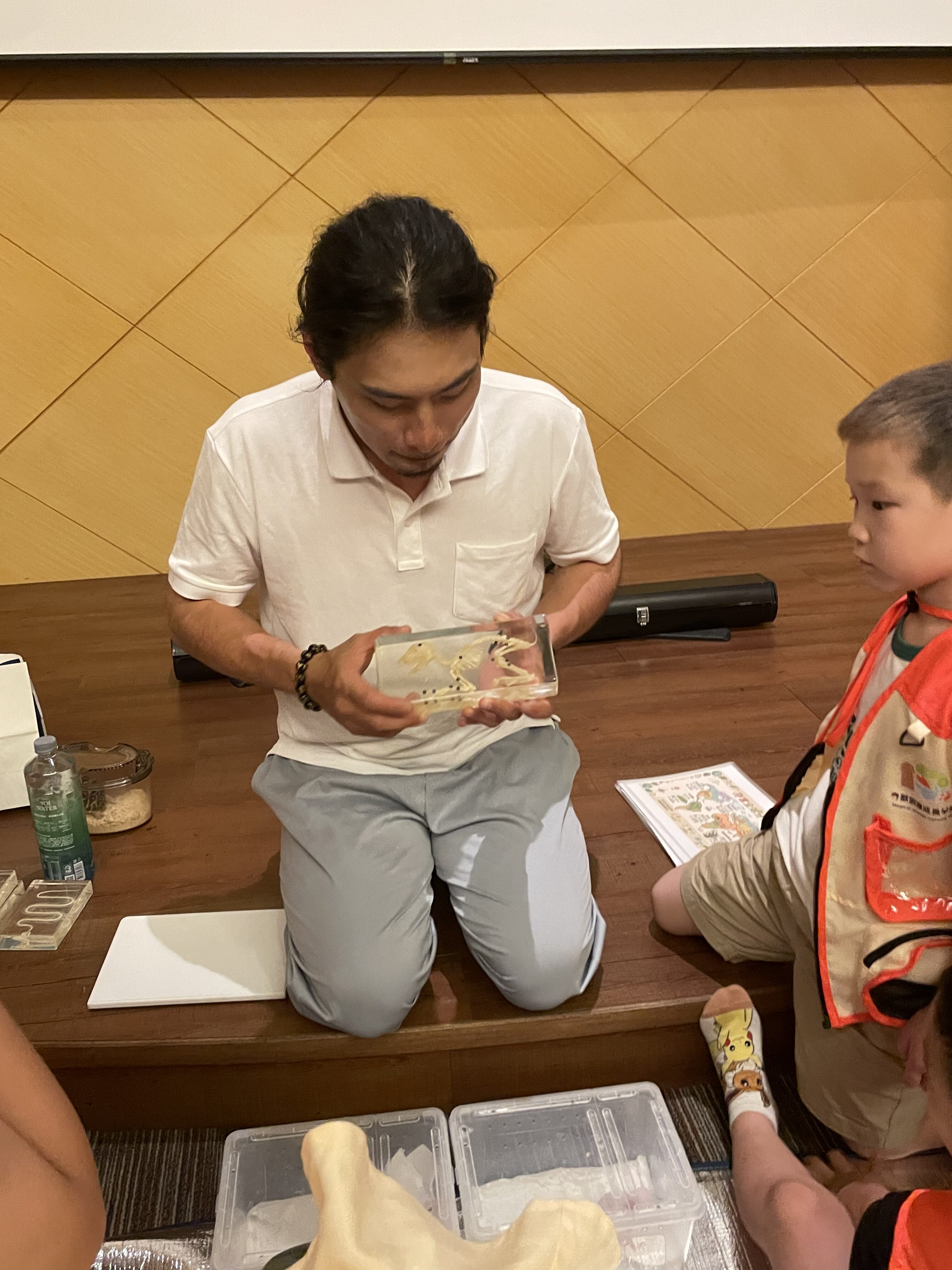 爬蟲動物觀察課-爬蟲動物上課中!:圖片 3