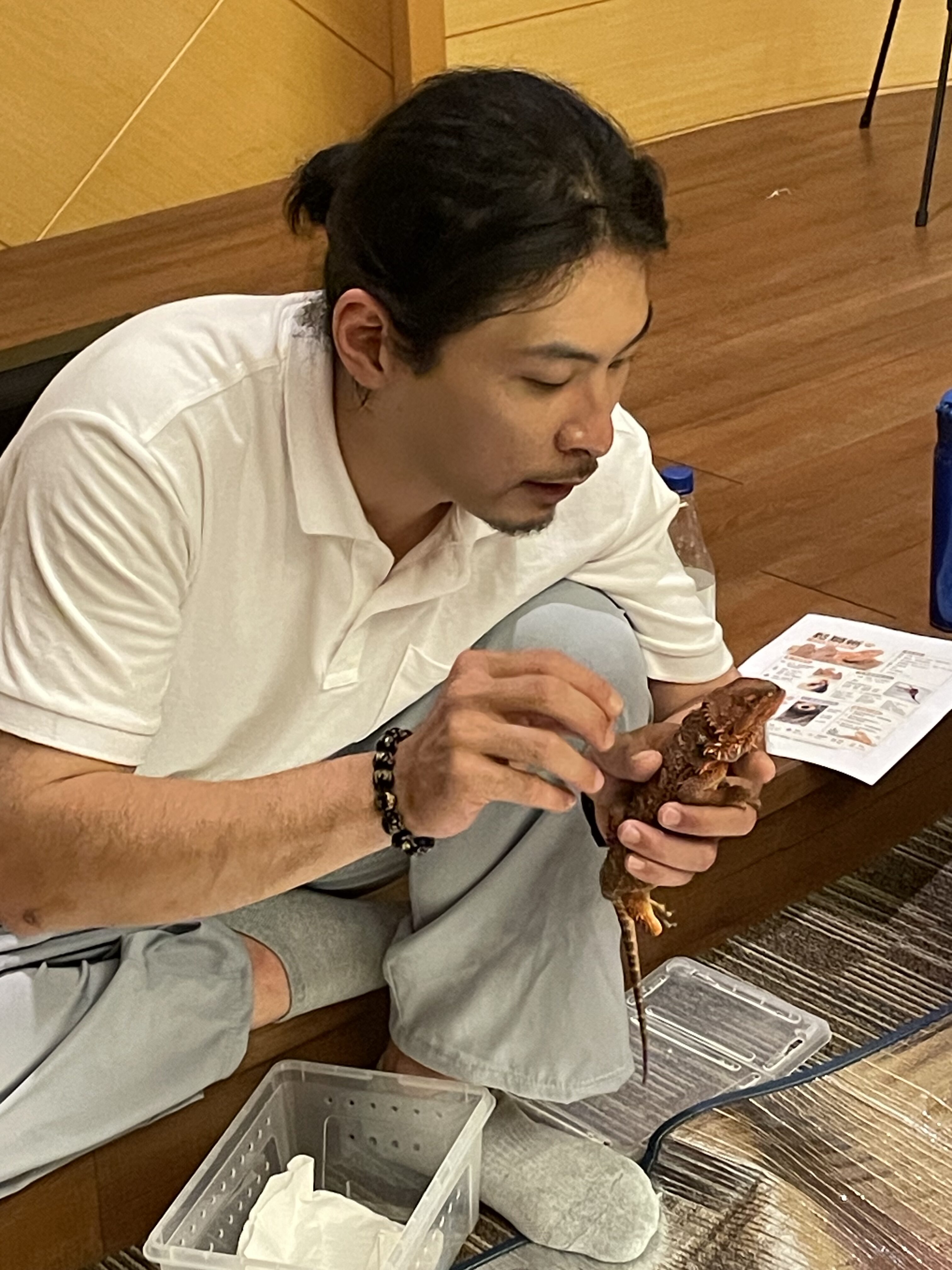 爬蟲動物觀察課-爬蟲動物上課中!:圖片 11