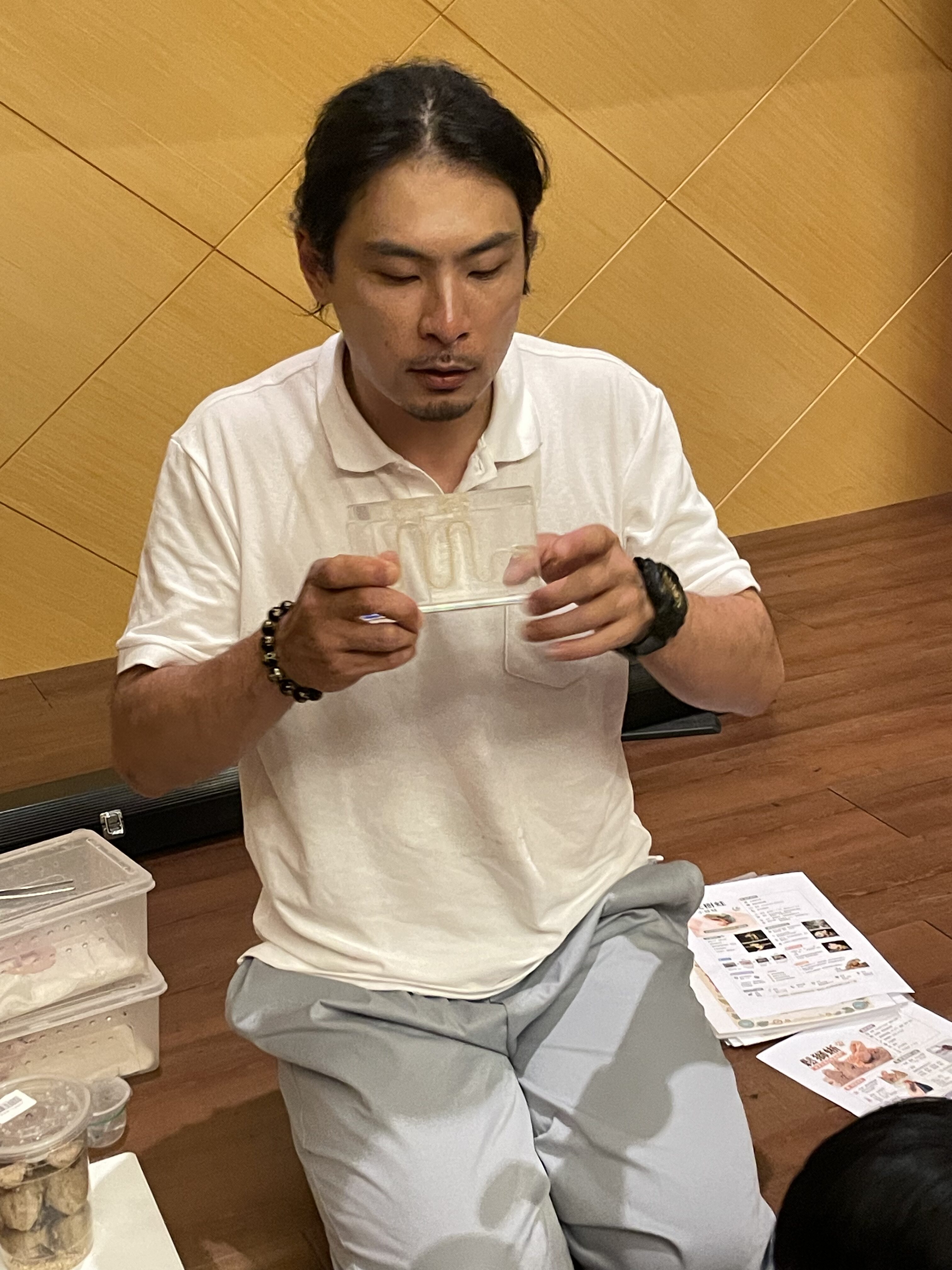 爬蟲動物觀察課-爬蟲動物上課中!:圖片 18