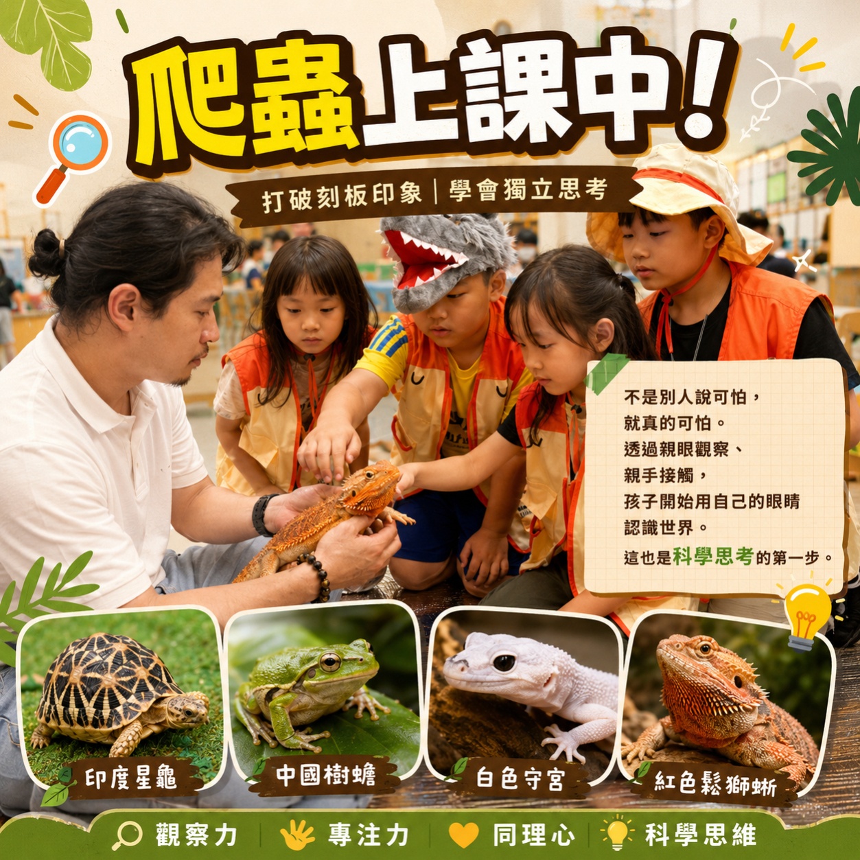 爬蟲動物觀察課-爬蟲動物上課中!
