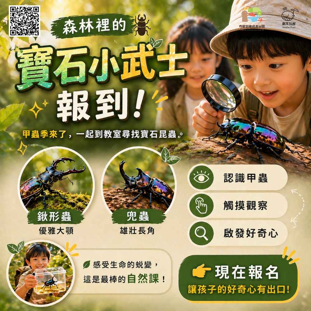 寶石小武士|兒童動物體驗課:甲蟲