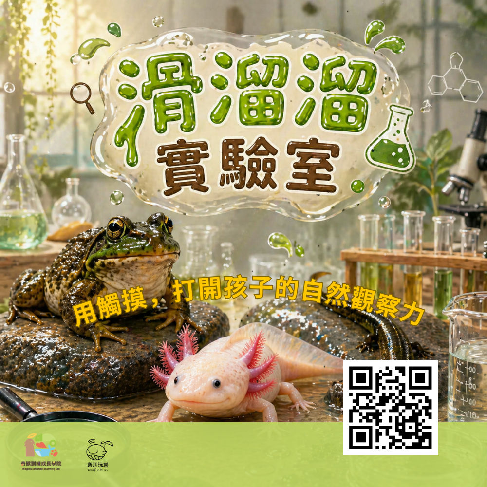 滑溜溜實驗室|兩棲動物-鰻螈.六角恐龍.牛蛙